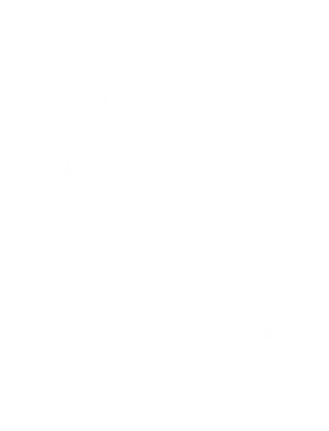 Kung Fu Accounting Logo white